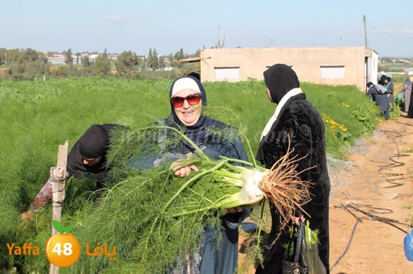 re7la tolkarem (88).JPG